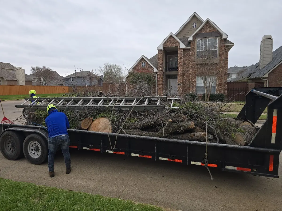 Expert Tree Removal with proper safety equipment in Huntersville